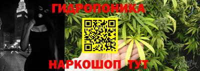 ешки Гусь-Хрустальный
