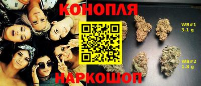 сатива Гусиноозёрск