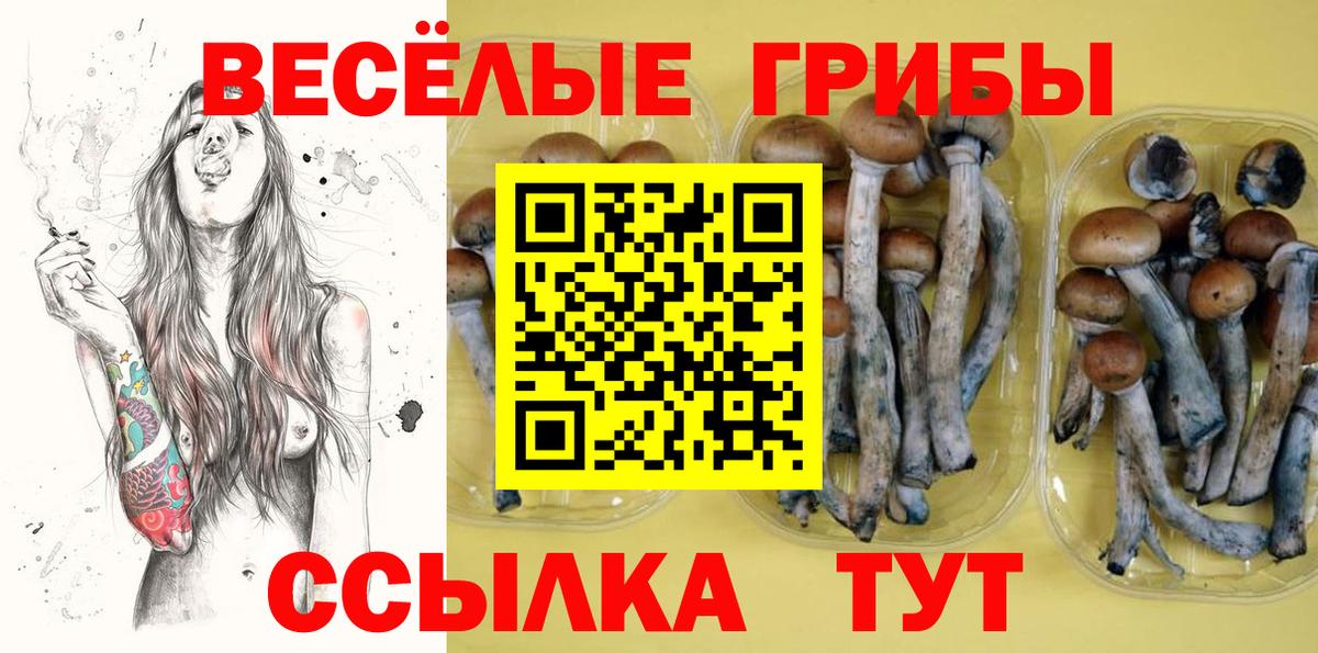 Псилоцибиновые грибы MAGIC MUSHROOMS Черногорск