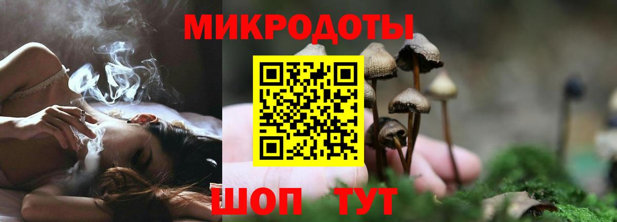 Галлюциногенные грибы Psilocybe  Вход с VPN  Черногорск  Псилоцибиновые грибы Psilocybine cubensis 